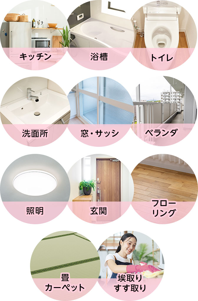 56,909円～(税込)