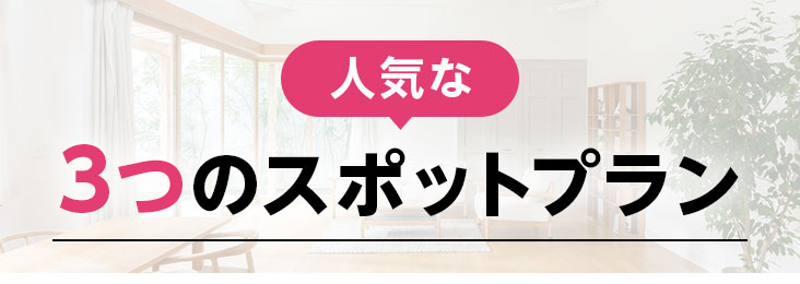 人気な3つのスポットプラン