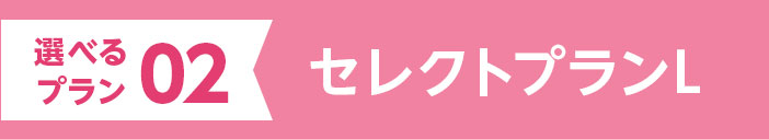 02 セレクトプランL